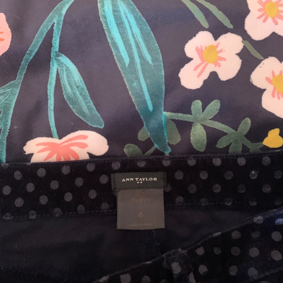 Ann Taylor curvy‎ stretch velvet polka dot pants. Worn maybe twice - Picture 4 of 4